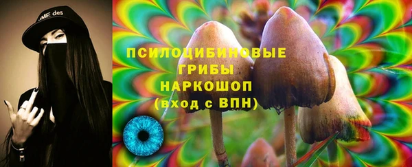 прущие крисы Алексеевка