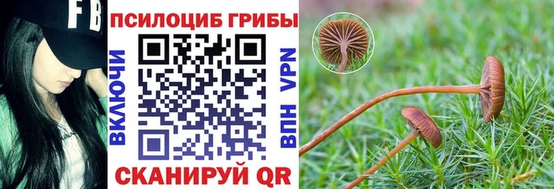 Галлюциногенные грибы мухоморы  Жуков 